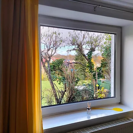 Rosenblick Mörlenbach