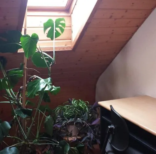 Rosenblick * Moerlenbach